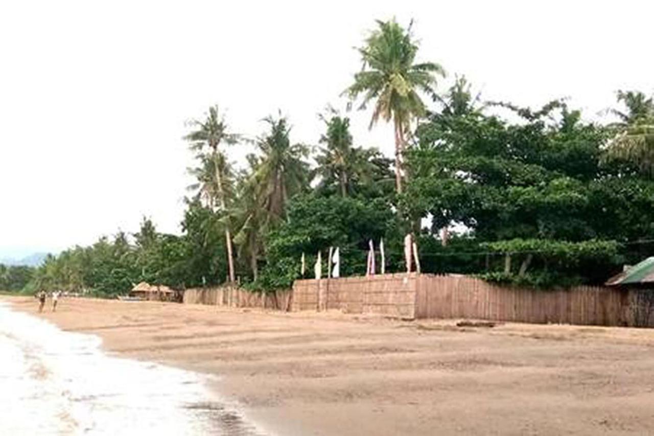 Leizel'S Bed & Breakfast Palompon Экстерьер фото